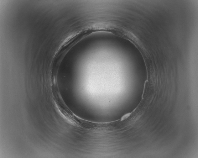 X0000068260530200604281528