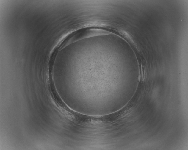 X0000068260531200604281528