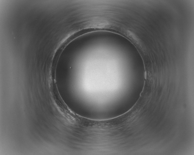 X0000068260532200604281528