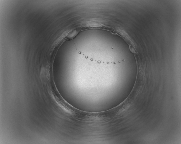 X0000068260533200604281528