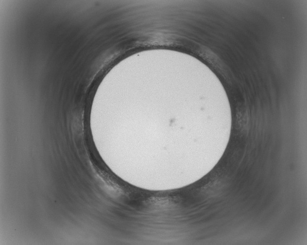 X0000068260534200604281528