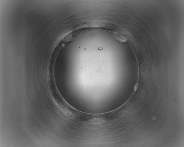 X0000068260536200604281528