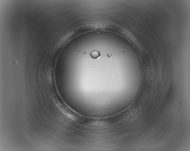 X0000068260537200604281528