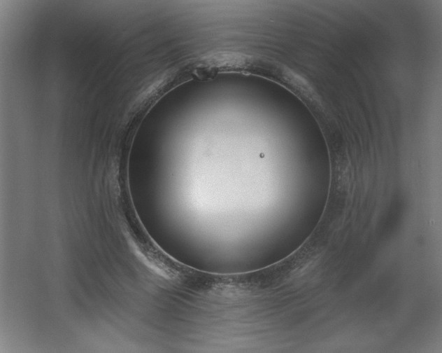 X0000068260538200604281528