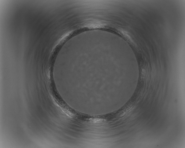 X0000068260539200604281528