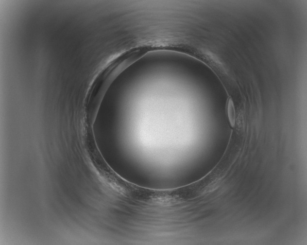 X0000068260540200604281528