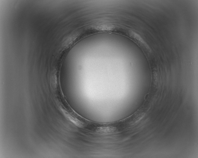 X0000068260541200604281528