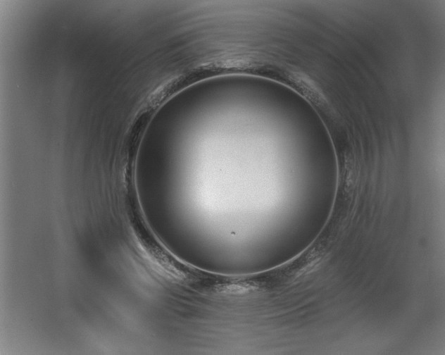 X0000068260542200604281528