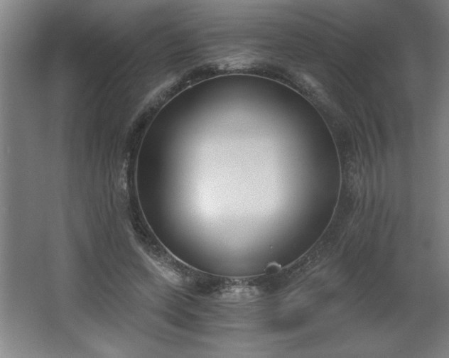 X0000068260543200604281528