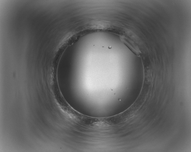 X0000068260544200604281528