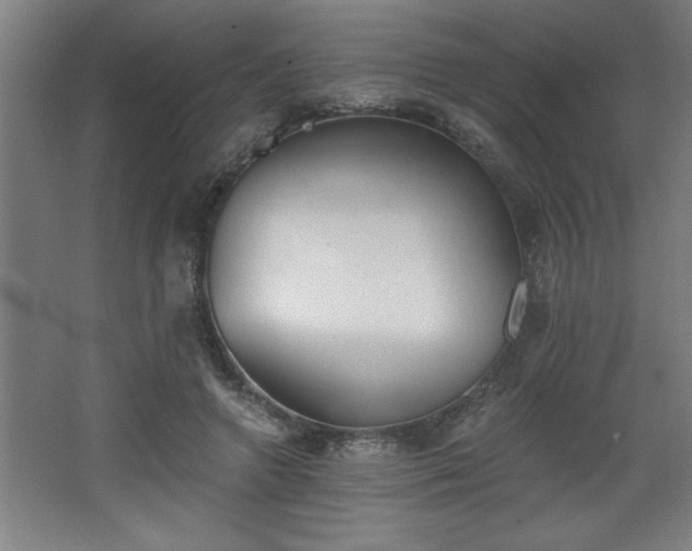 X0000068260546200604281528