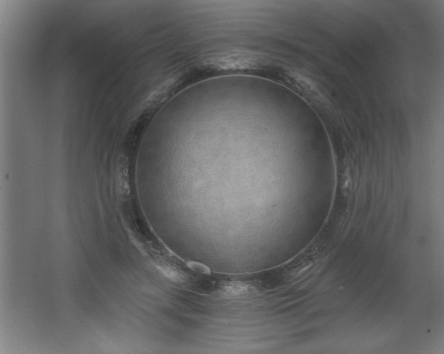 X0000068260547200604281528