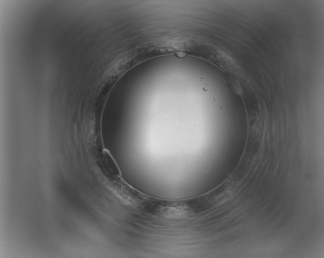 X0000068260548200604281528