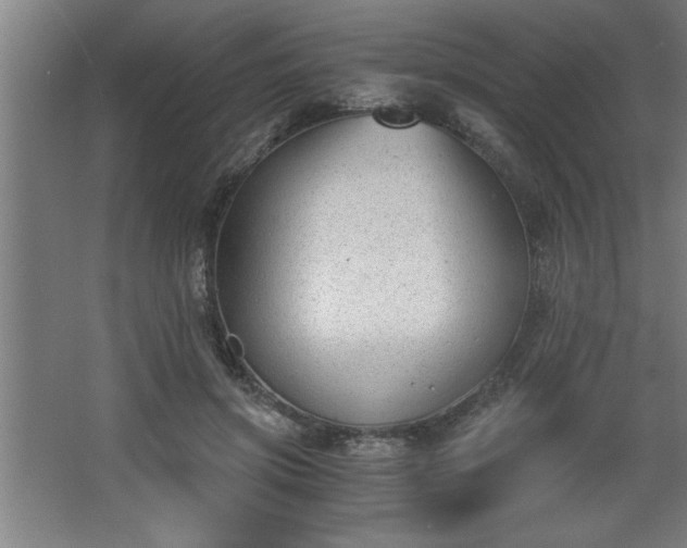 X0000068260549200604281528