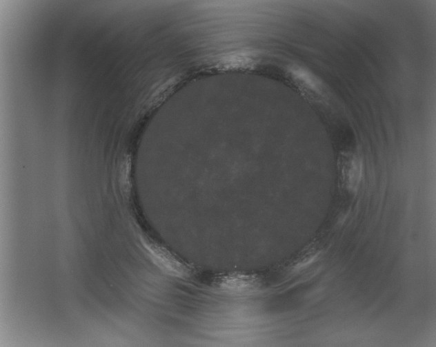 X0000068260550200604281528