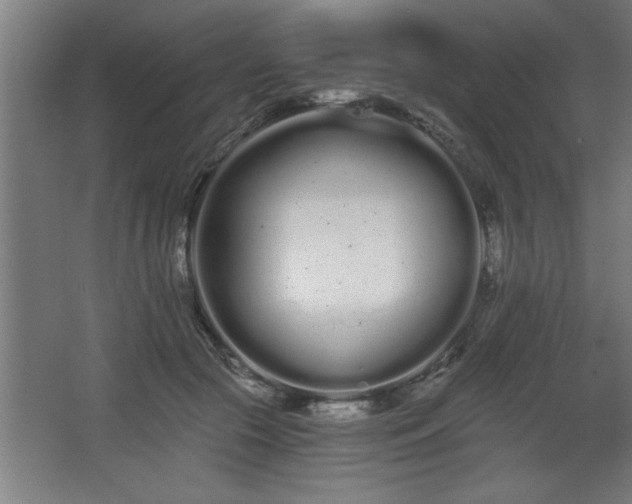 X0000068260553200604281528