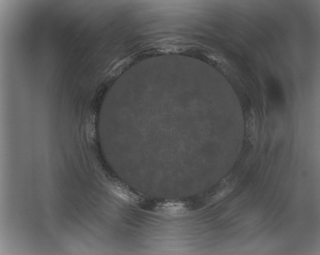 X0000068260554200604281528