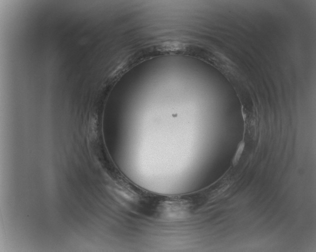 X0000068260556200604281528