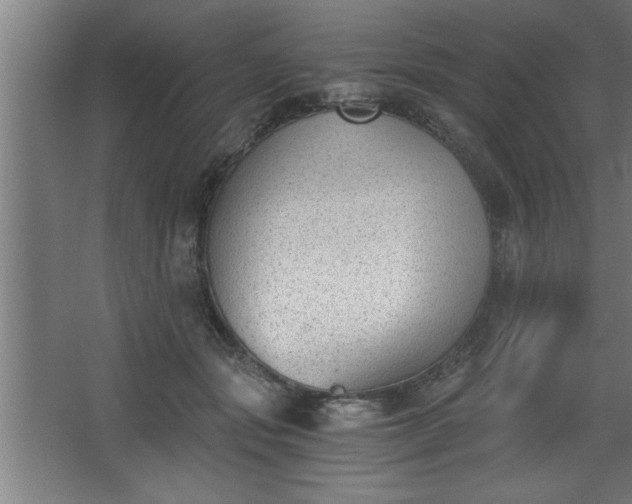 X0000068260557200604281528