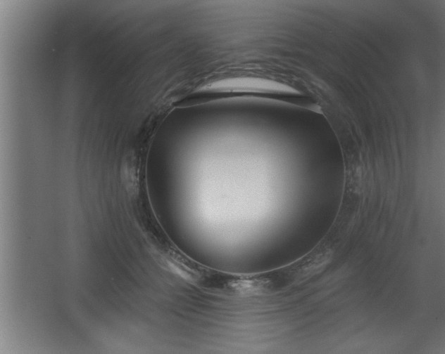 X0000068260558200604281528