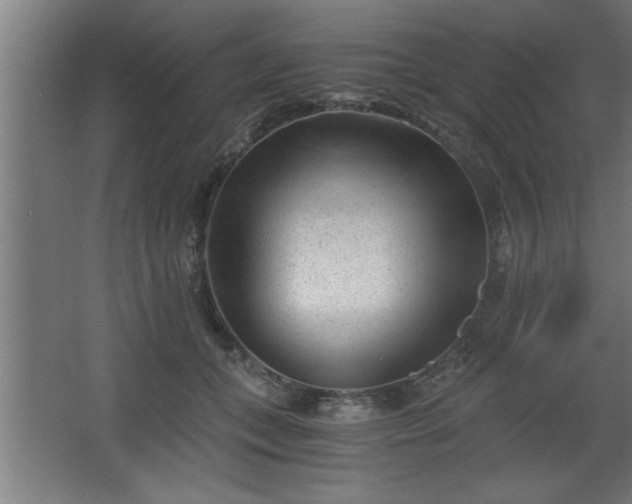 X0000068260559200604281528