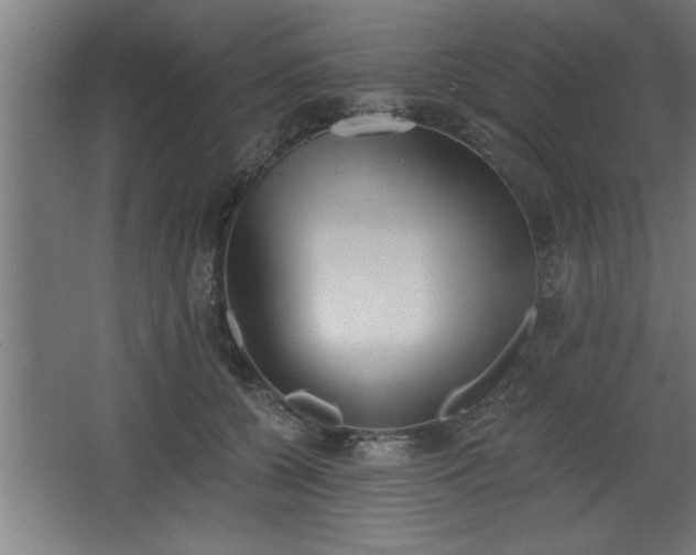 X0000068260560200604281528