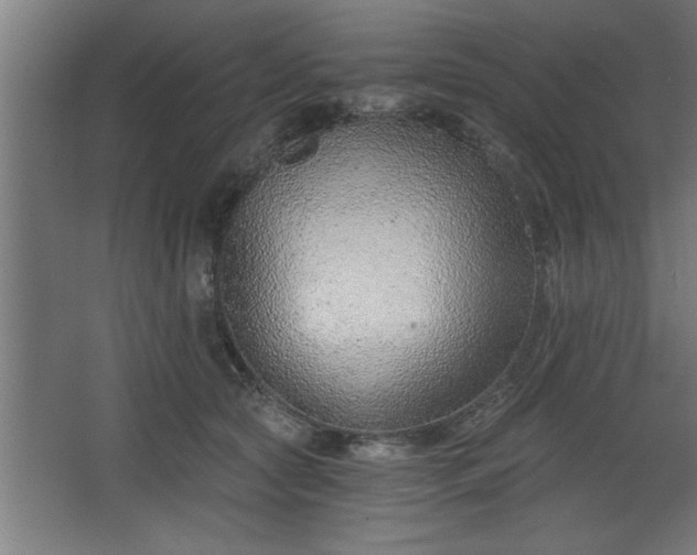 X0000068260561200604281528