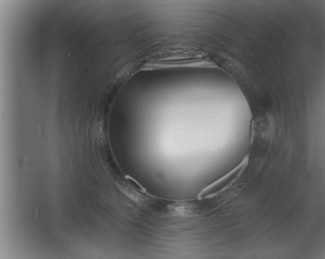 X0000068260564200604281528