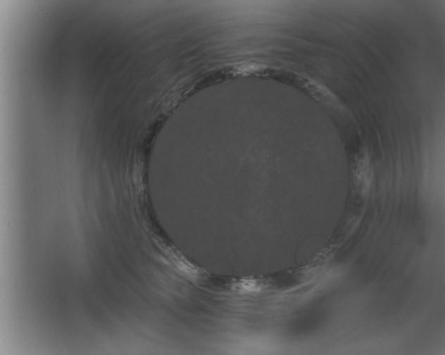 X0000068260565200604281528