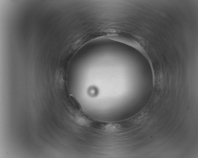 X0000068260566200604281529