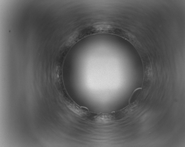 X0000068260567200604281529