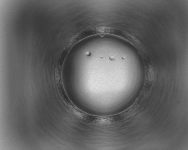 X0000068260569200604281529