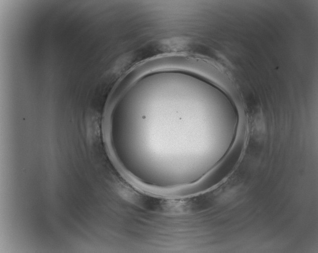 X0000068260570200604281529