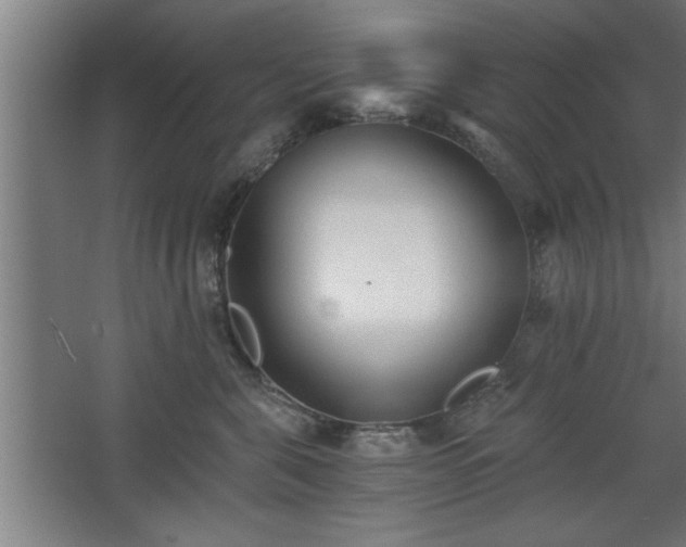 X0000068260571200604281529