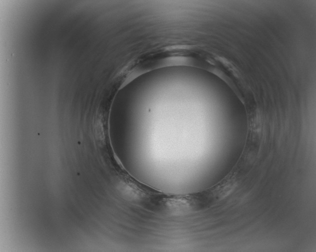 X0000068260572200604281529