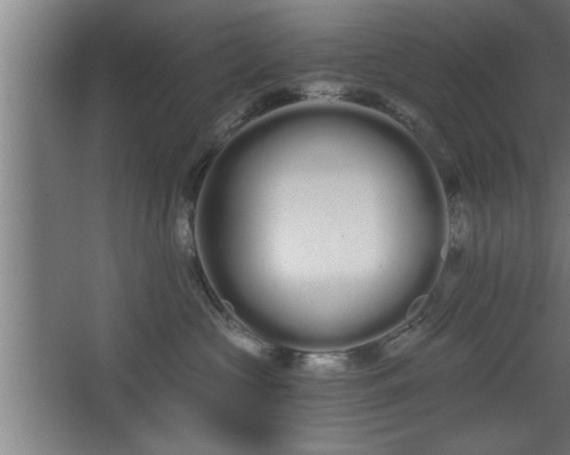 X0000068260573200604281529