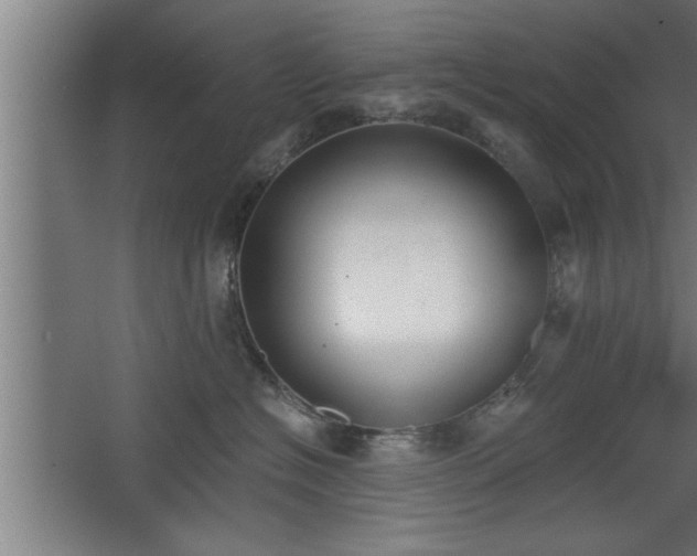 X0000068260574200604281529