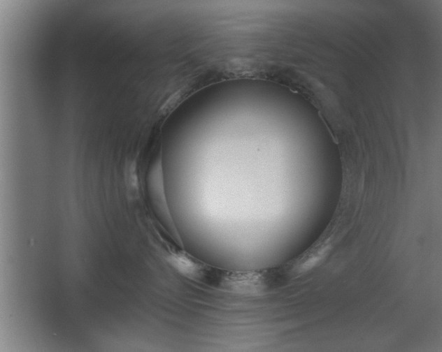 X0000068260576200604281529