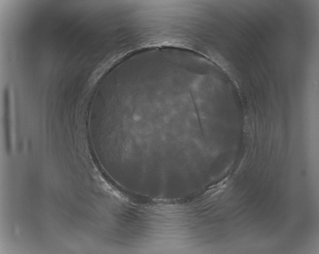 X0000068260577200604281528