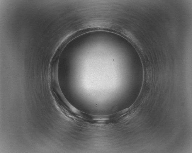 X0000068260580200604281528