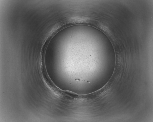 X0000068260582200604281528