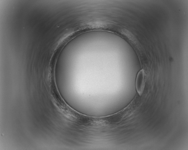 X0000068260583200604281528