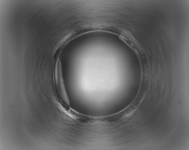 X0000068260585200604281528