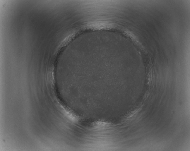 X0000068260590200604281528