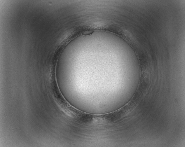 X0000068260591200604281528