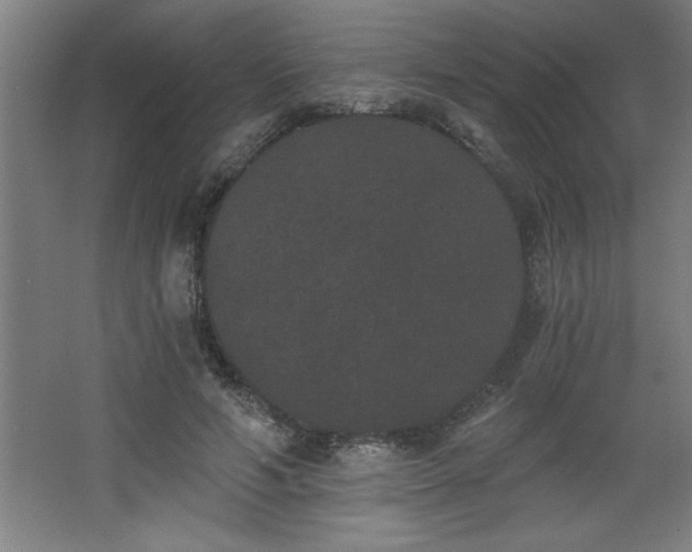 X0000068260594200604281528