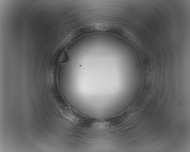 X0000068260595200604281528