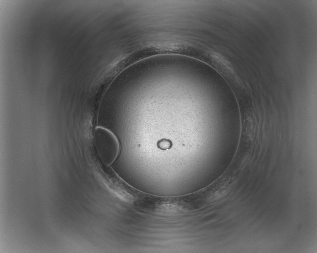 X0000068260596200604281528