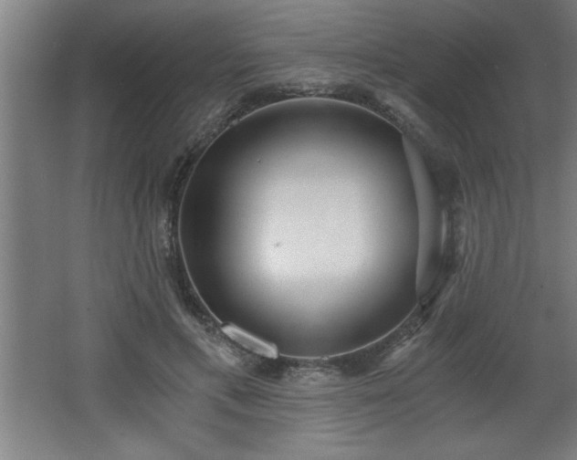 X0000068260597200604281528