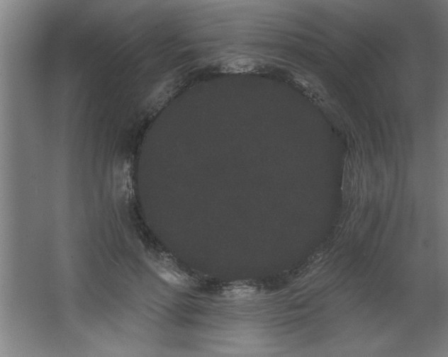 X0000068260598200604281528